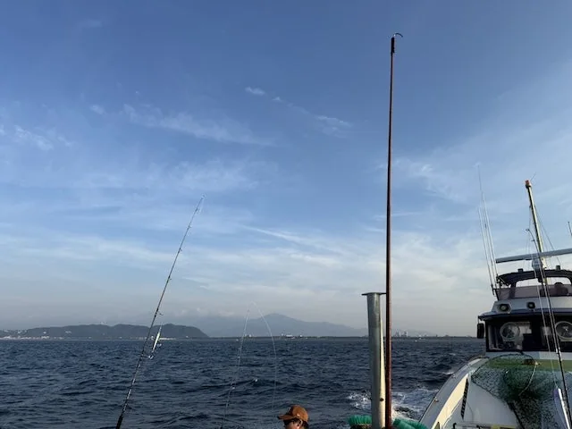 Sagami Bay Yellowfin Ebing for Beginners | Recommended Tackle & Rigs
