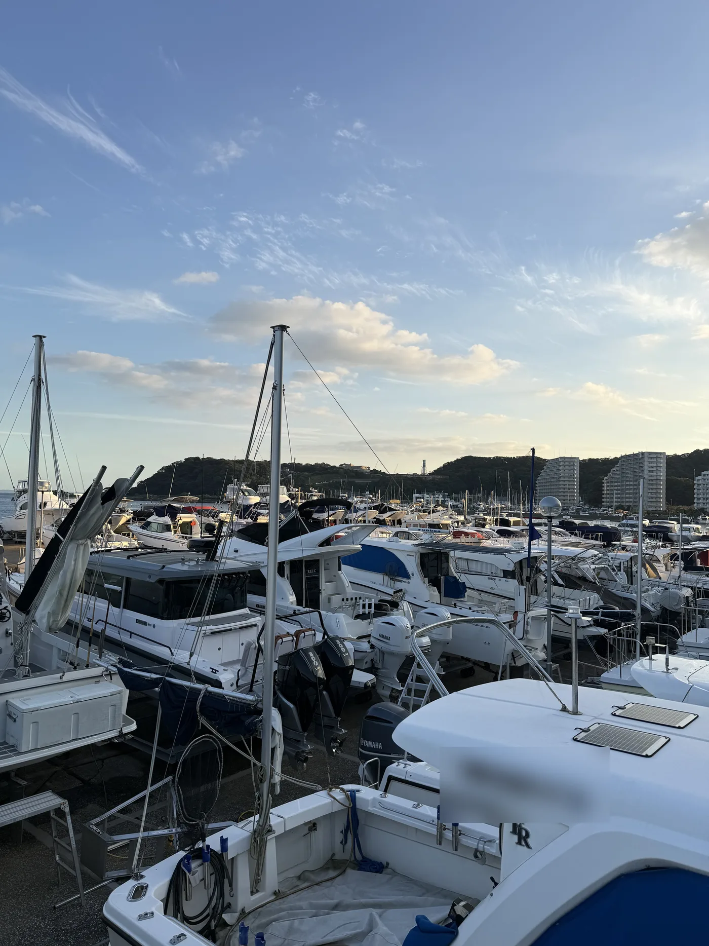 帰港後、夕方のマリーナ