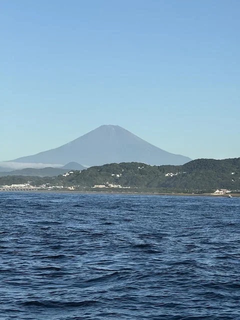 Sagami Bay Mahi-Mahi & Yellowtail Casting: 5 Recommended Lures