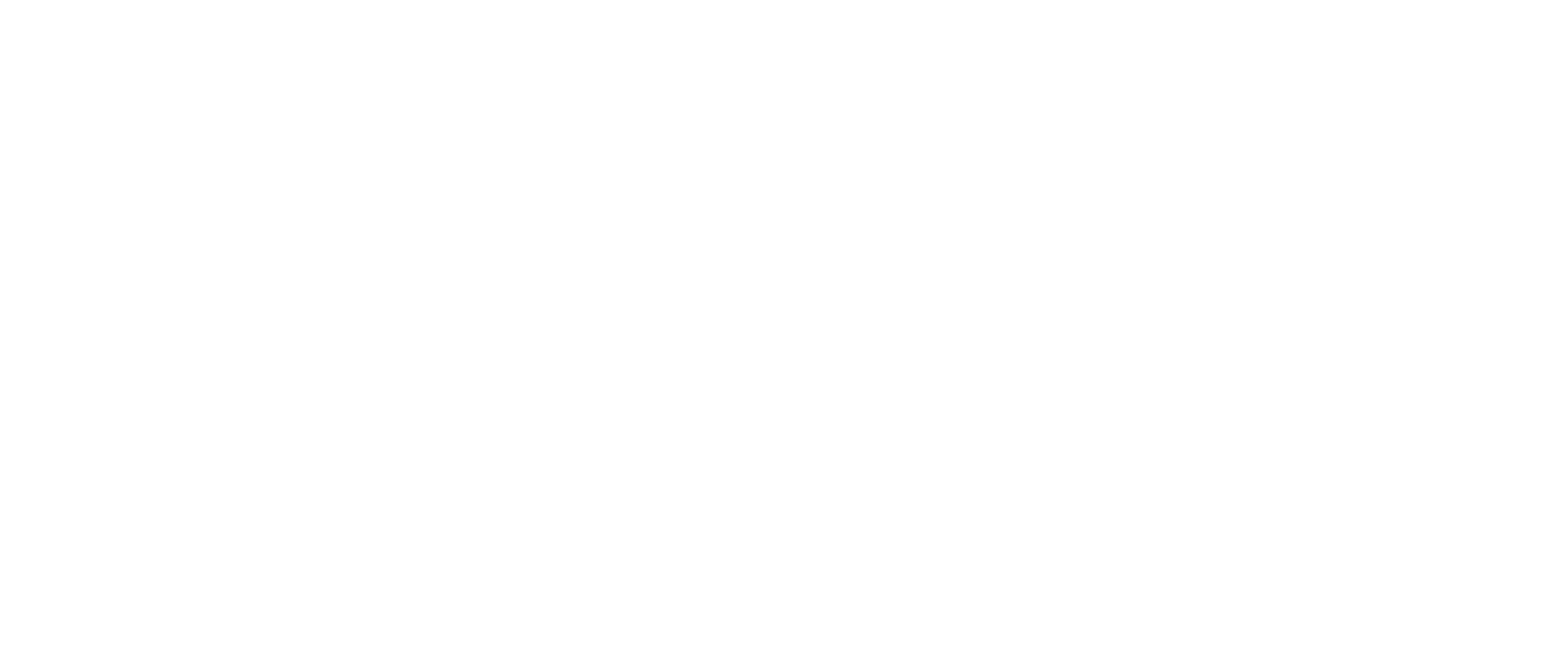 SALTBOY